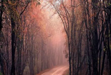 从首发到替补，场均8+8神锋将被老鹰放弃，美媒视为湖人禁区救星.