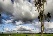 NG体育官网：搜狐新闻马拉松郑姝音6km完赛：这次感受特别好.