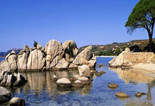 进球被吹再送乌龙 川崎前锋见到上海申花就跪.